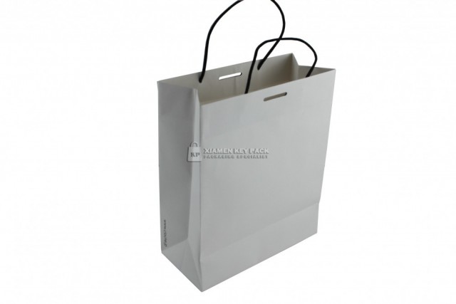 Paper hand made bag,cotton handle with paper core,handle glued to bag top